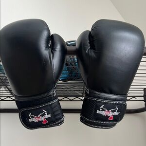 Kickboxing Gloves